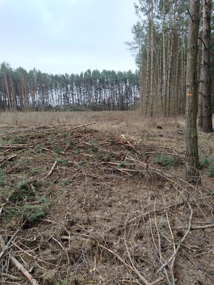 Działka rolna Arbasy Duże. Zdjęcie 2