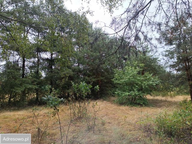 Działka budowlana Goławice Drugie. Zdjęcie 1
