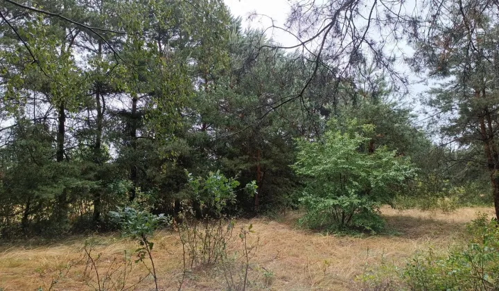 Działka budowlana Goławice Drugie