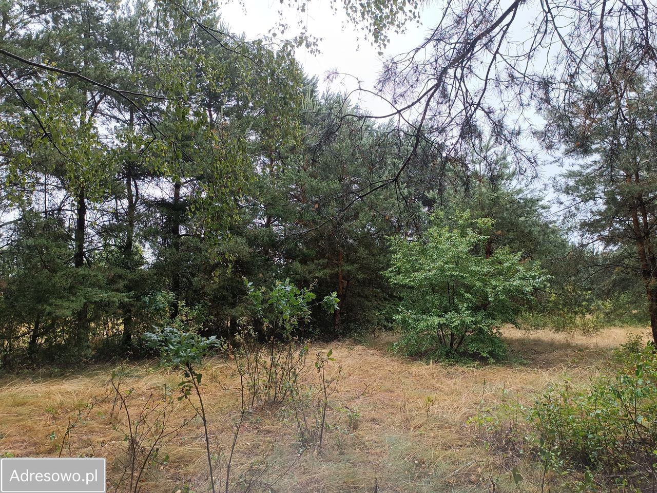 Działka budowlana Goławice Drugie