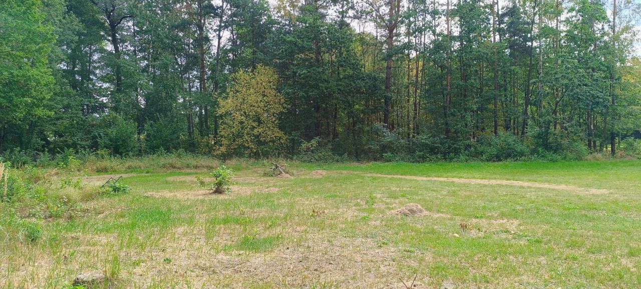 Działka rekreacyjna Budy Grabskie. Zdjęcie 5