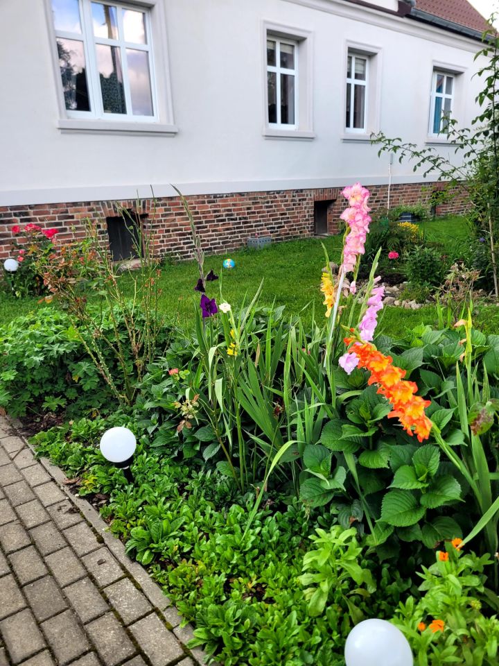 dom wolnostojący, 7 pokoi Trzebawie. Zdjęcie 14