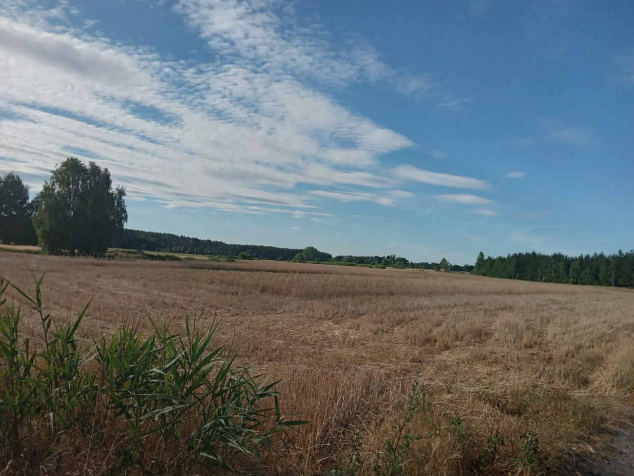 Działka rolna Siedlisko, ul. Długa. Zdjęcie 2