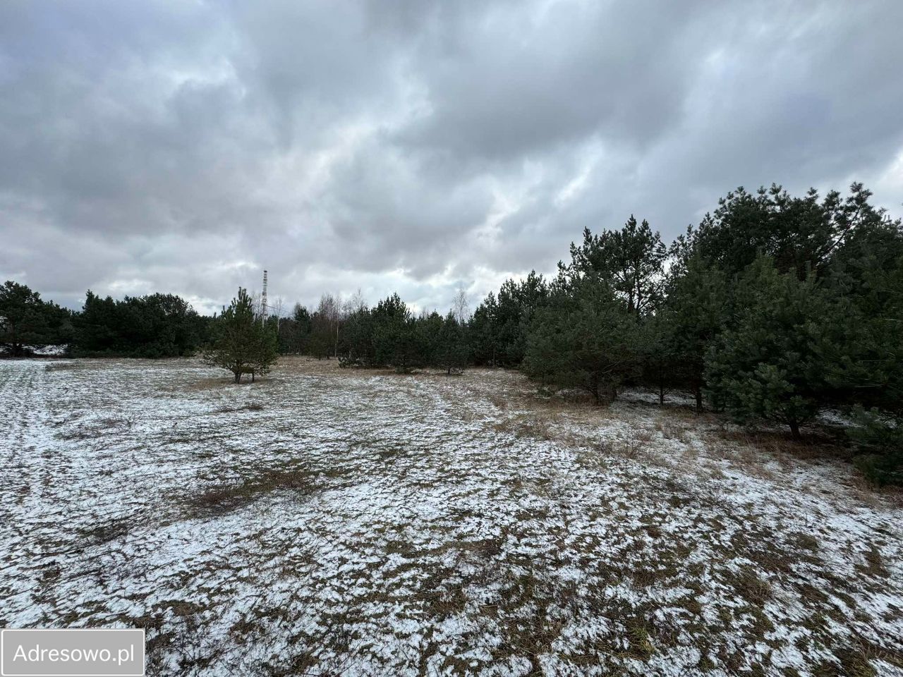 Działka rekreacyjna Mącice. Zdjęcie 2
