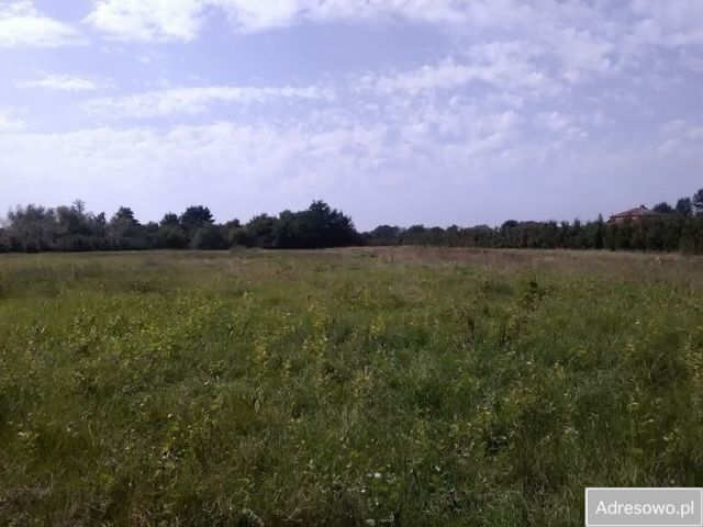 Działka rolno-budowlana Wilków. Zdjęcie 1