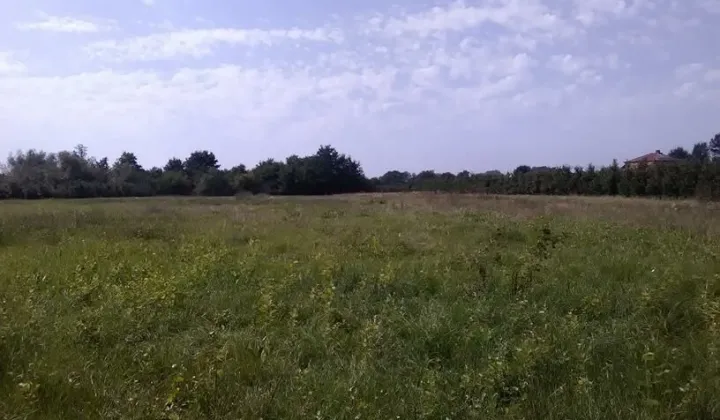 Działka rolno-budowlana Wilków