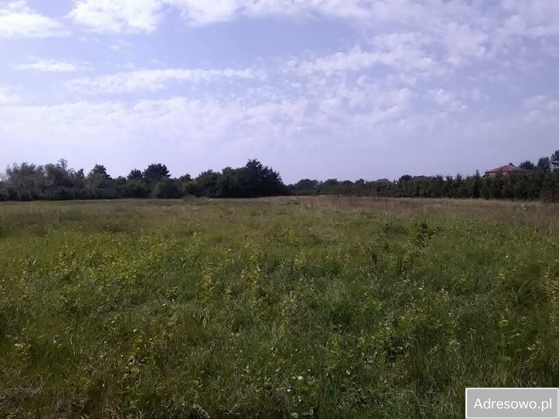 Działka rolno-budowlana Wilków. Zdjęcie 1