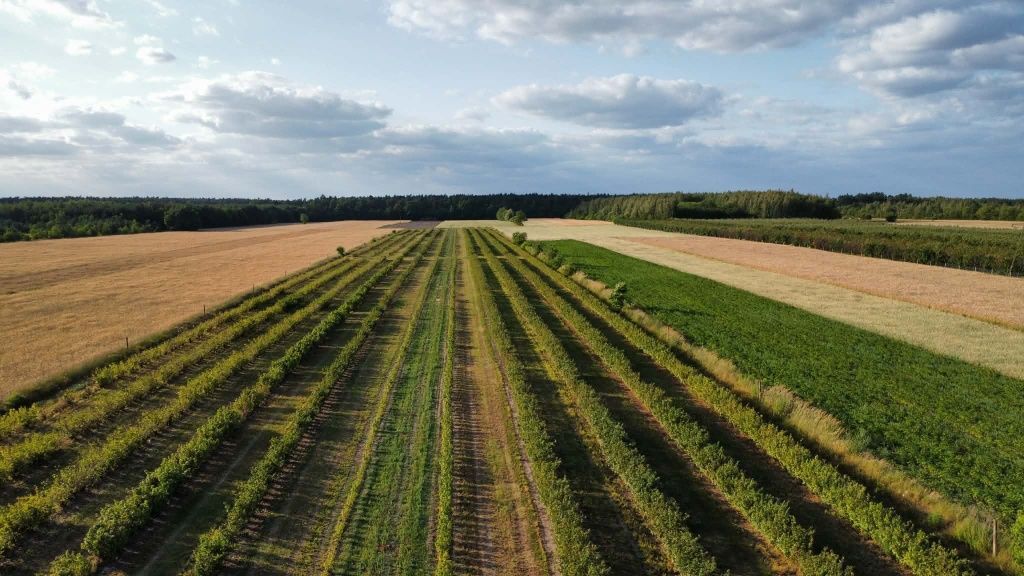Działka rolna Mała Wieś. Zdjęcie 3