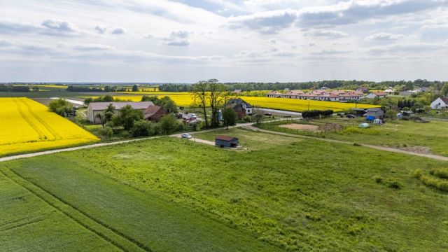 Działka inwestycyjna Poniatowice. Zdjęcie 14