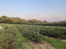 Działka budowlana Nowy Garbów. Zdjęcie 3