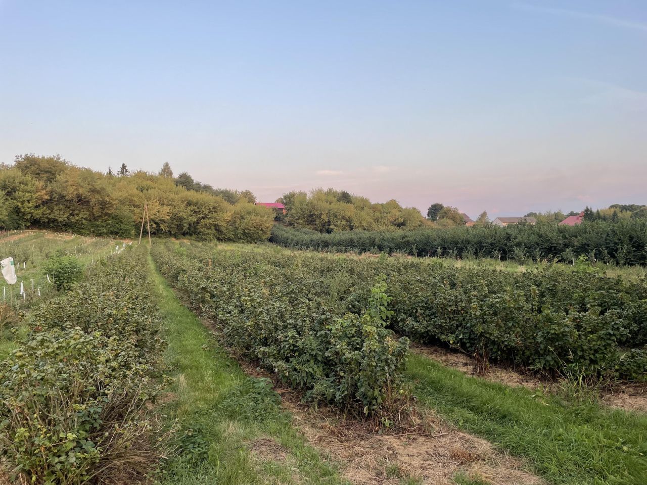 Działka budowlana Nowy Garbów. Zdjęcie 4