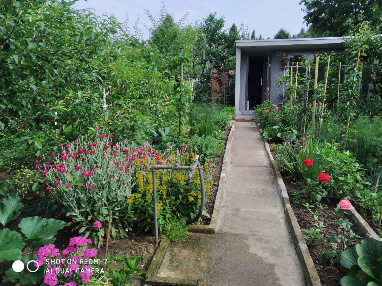 Działka rod Osiek. Zdjęcie 3