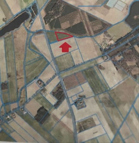 Działka rolno-budowlana Okonek. Zdjęcie 1