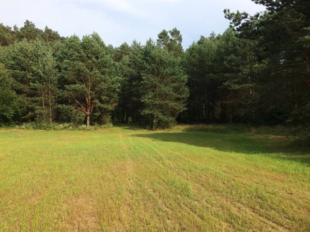 Działka budowlana Augustów Sajenek, ul. Jutrzenki. Zdjęcie 5