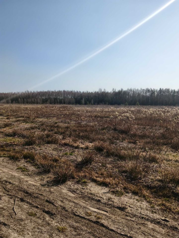 Działka budowlana Wysychy. Zdjęcie 3