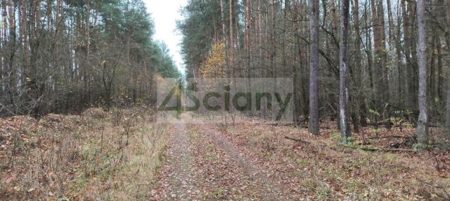 Działka rekreacyjna Wycześniak. Zdjęcie 8