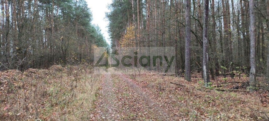 Działka rekreacyjna Wycześniak. Zdjęcie 8