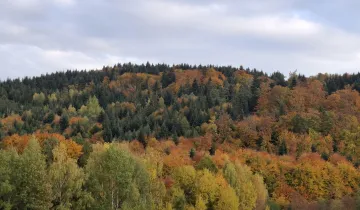 Działka na sprzedaż 
 
 Łoniowa - Widok 5