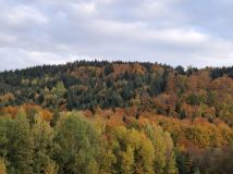 Działka rolna Wojakowa