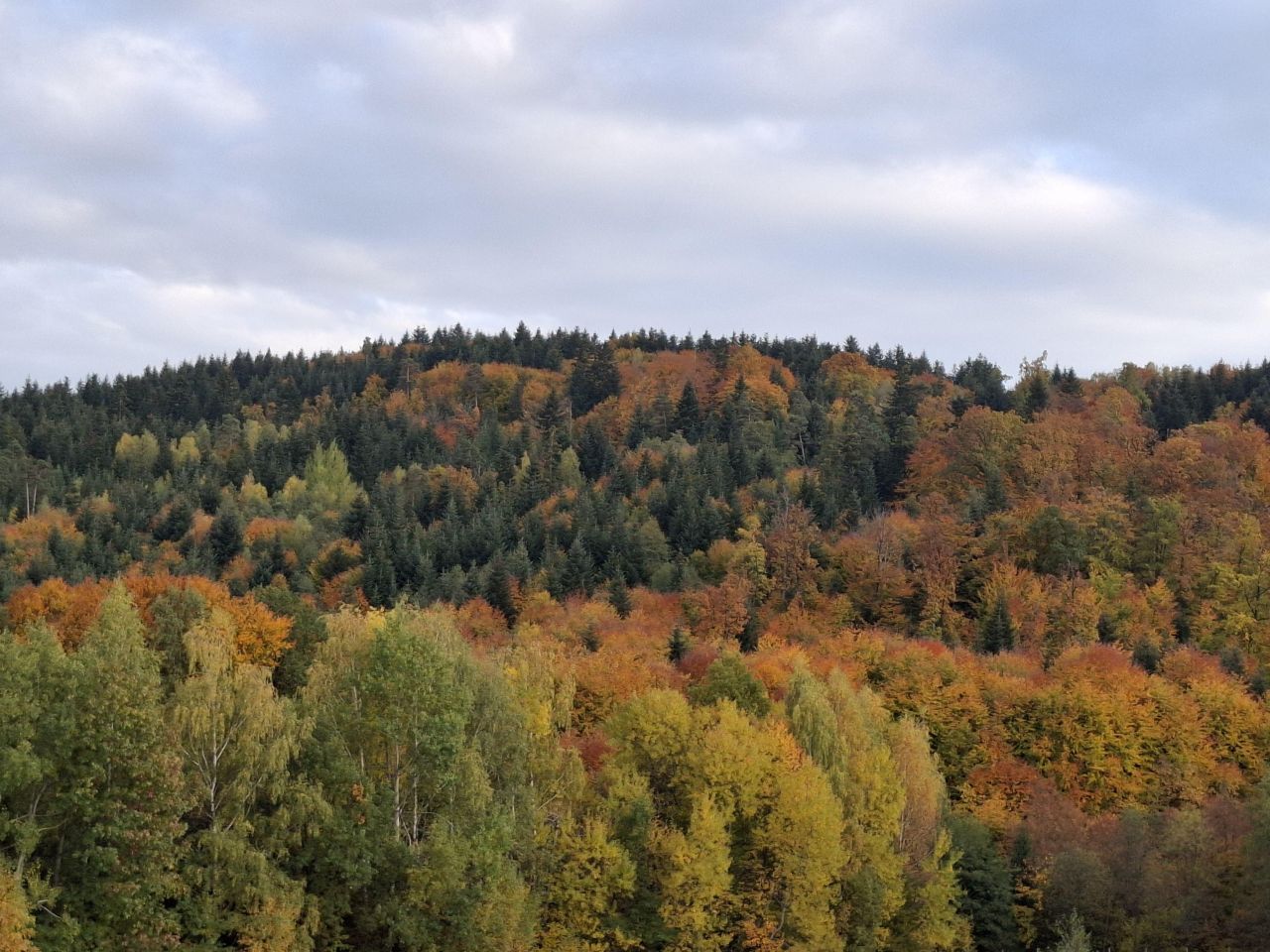 Działka rolna Wojakowa
