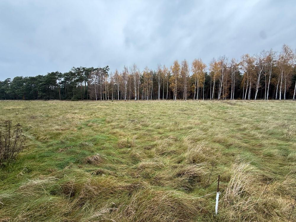 Działka budowlana Trzęsów. Zdjęcie 3