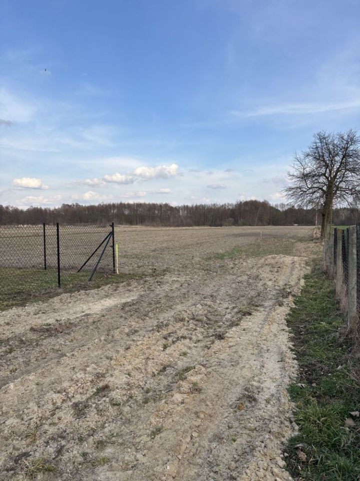 Działka budowlana Podskarbice Szlacheckie. Zdjęcie 2