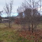 Działka rolno-budowlana Warszawa Wawer, ul. Mirtowa. Zdjęcie 3