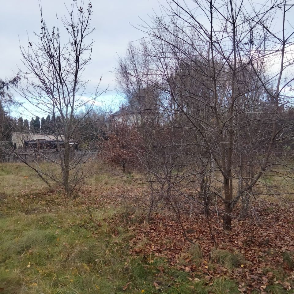 Działka rolno-budowlana Warszawa Wawer, ul. Mirtowa. Zdjęcie 3