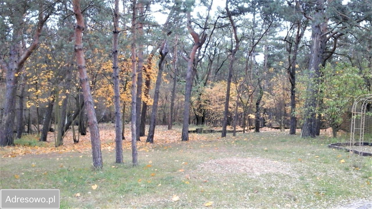 dom wolnostojący, 7 pokoi Legionowo, ul. Świerkowa. Zdjęcie 3