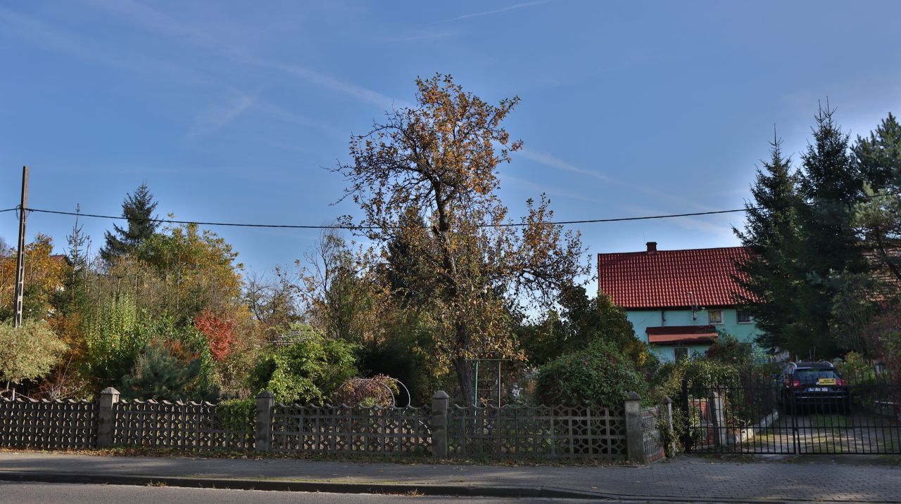 bliźniak, 3 pokoje Suszki. Zdjęcie 17