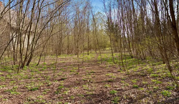 Działka inwestycyjna Żółwin