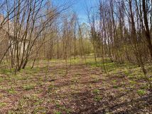 Działka inwestycyjna Żółwin