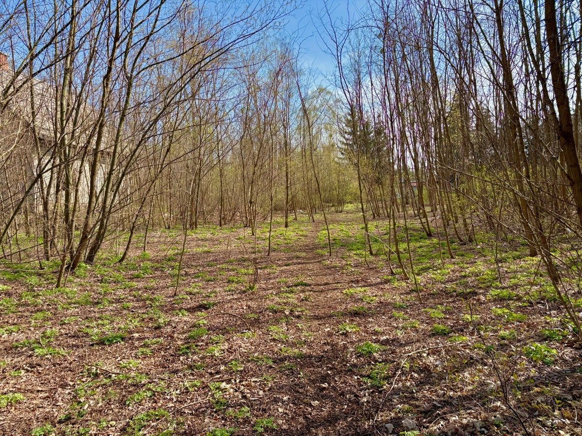 Działka inwestycyjna Żółwin