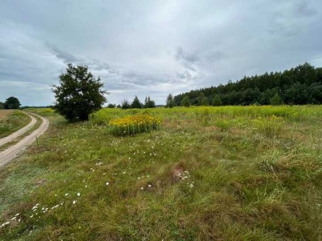Działka rolno-budowlana Żeliszew Duży. Zdjęcie 1