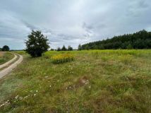 Działka rolno-budowlana Żeliszew Duży