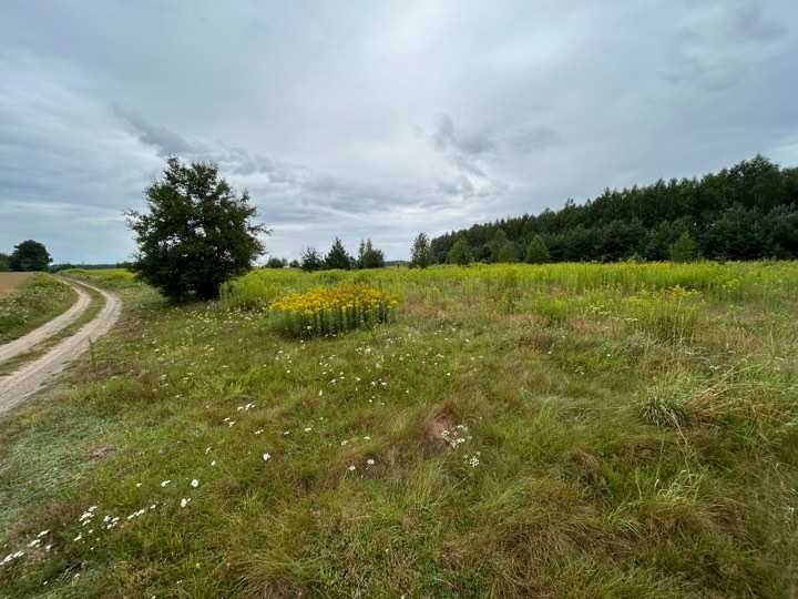 Działka rolno-budowlana Żeliszew Duży