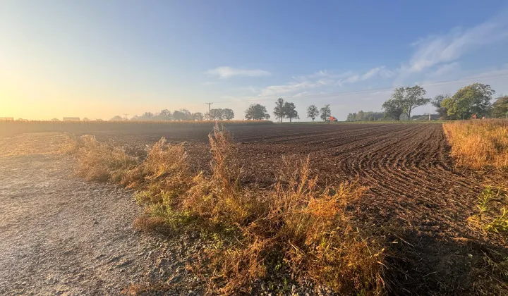 Działka budowlana Groblice, ul. Polna