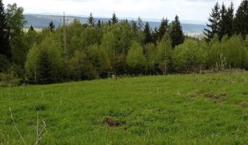 Działka inwestycyjna Duszniki-Zdrój Wapienniki. Zdjęcie 1