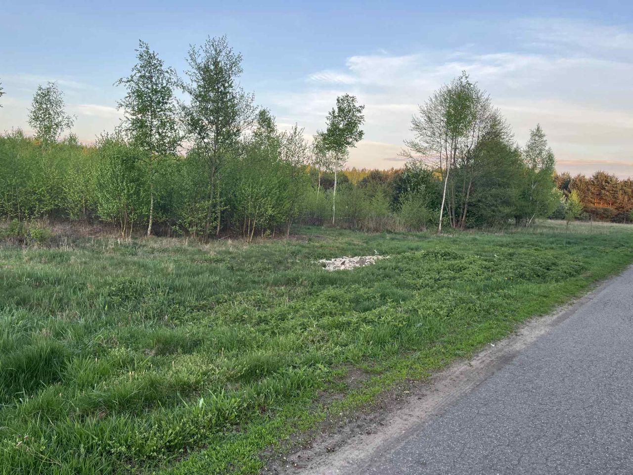 Działka rolno-budowlana Korzeń. Zdjęcie 2