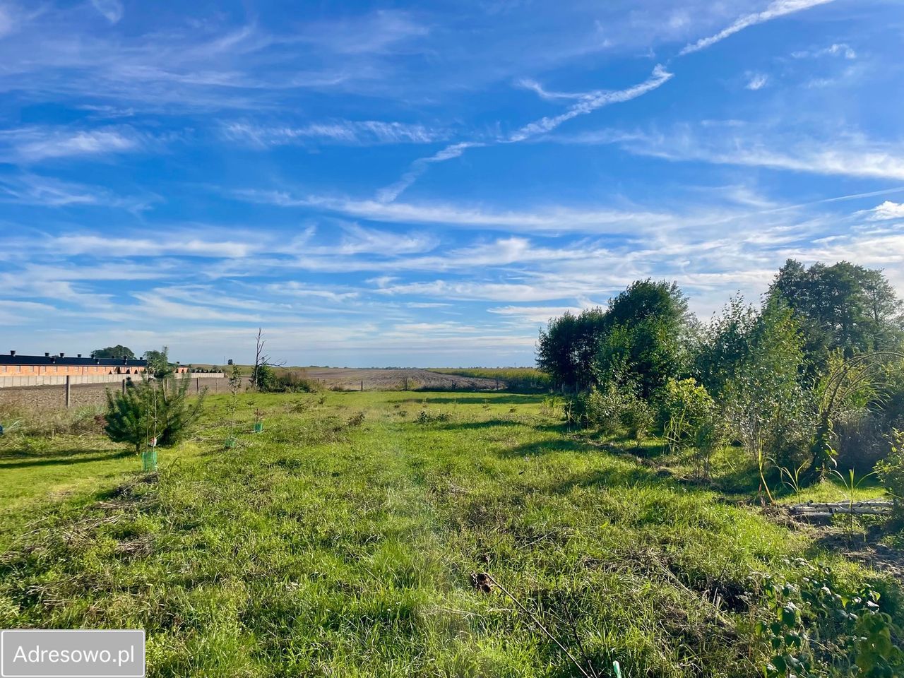 dom wolnostojący, 6 pokoi Krzepczów. Zdjęcie 7