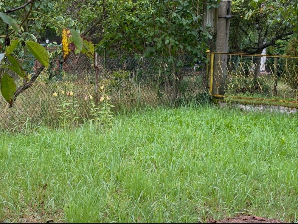 Działka rod Opole. Zdjęcie 1