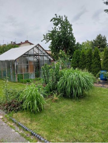 Działka rod Tomaszów Mazowiecki, ul. Wierzbowa. Zdjęcie 1