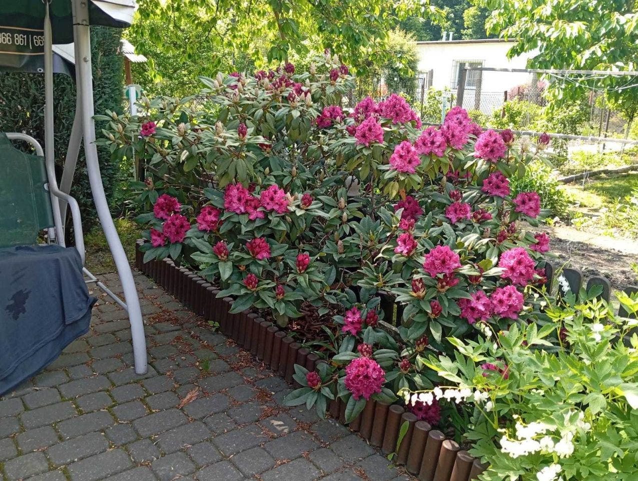 Działka rod Zabrze. Zdjęcie 7