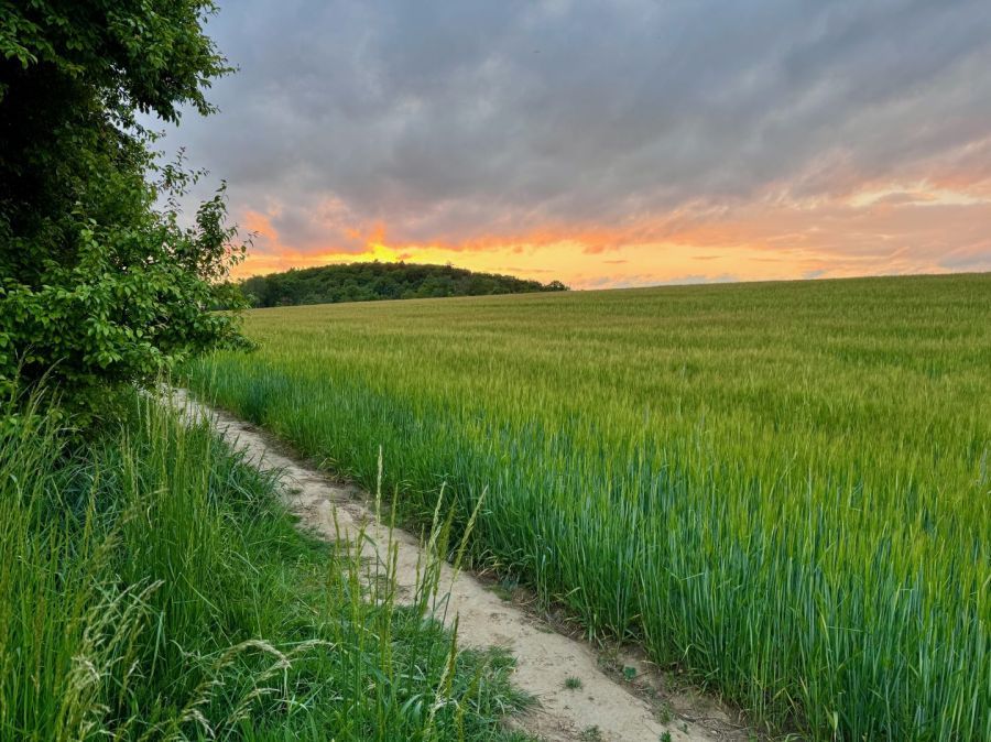 Mieszkanie 2-pokojowe Rotmanka, ul. Bajki. Zdjęcie 12