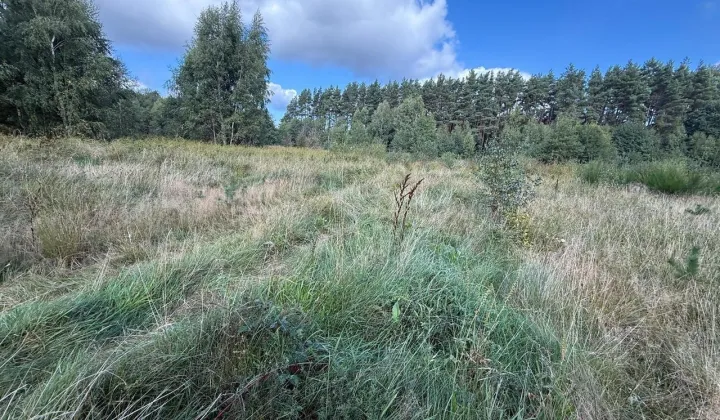 Działka inwestycyjna Kopalino, ul. Jaśminowa