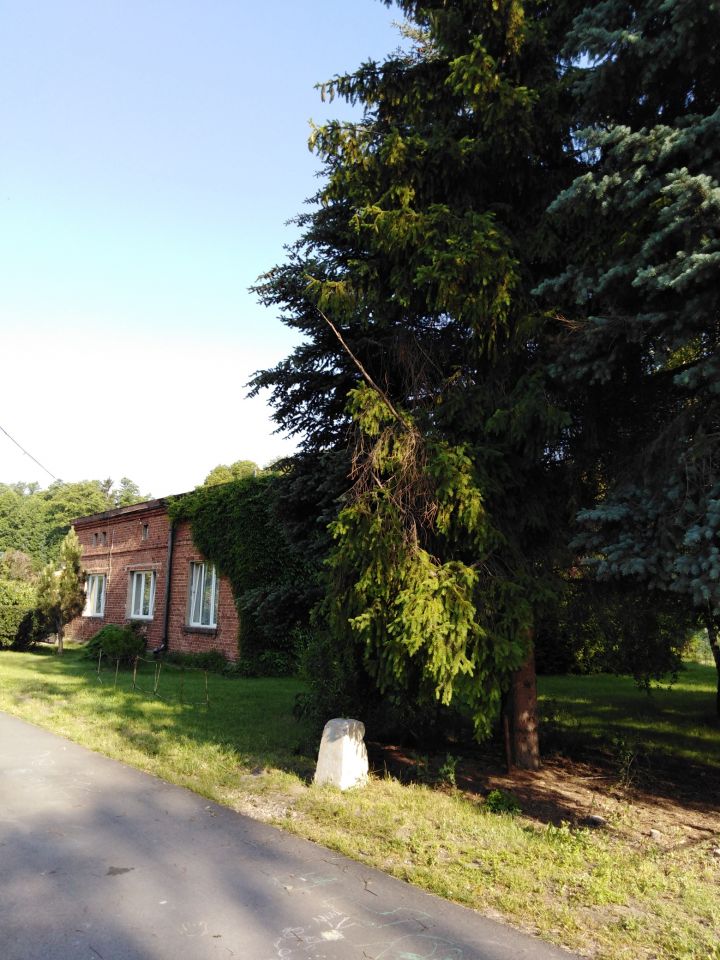 Działka rolno-budowlana Łódź Ruda Pabianicka, ul. Murawy