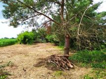 Działka budowlana Nielepkowice. Zdjęcie 3