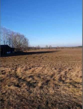 Działka rolna Rogalice. Zdjęcie 2