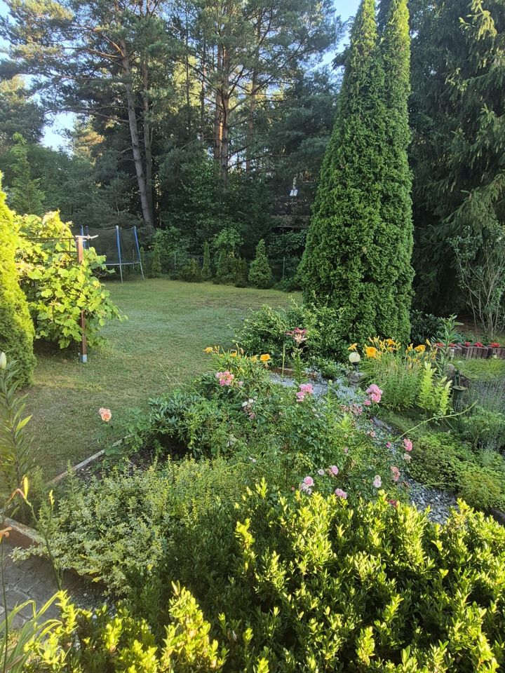 Działka budowlana Adamów-Wieś. Zdjęcie 3