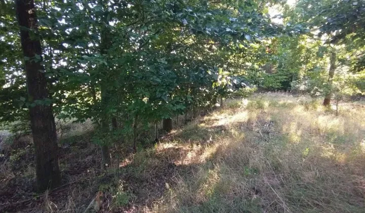 Działka budowlana Świniary